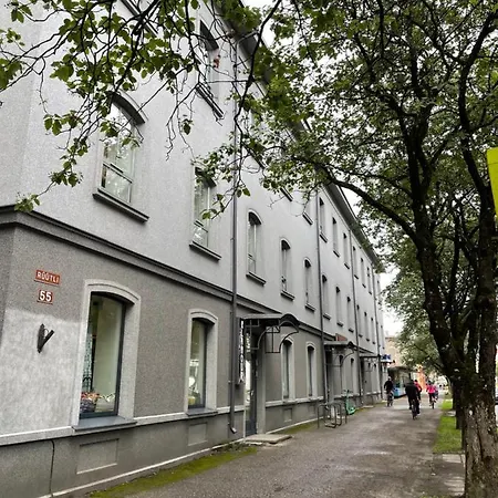 公寓 Rueuetli Center 派尔努